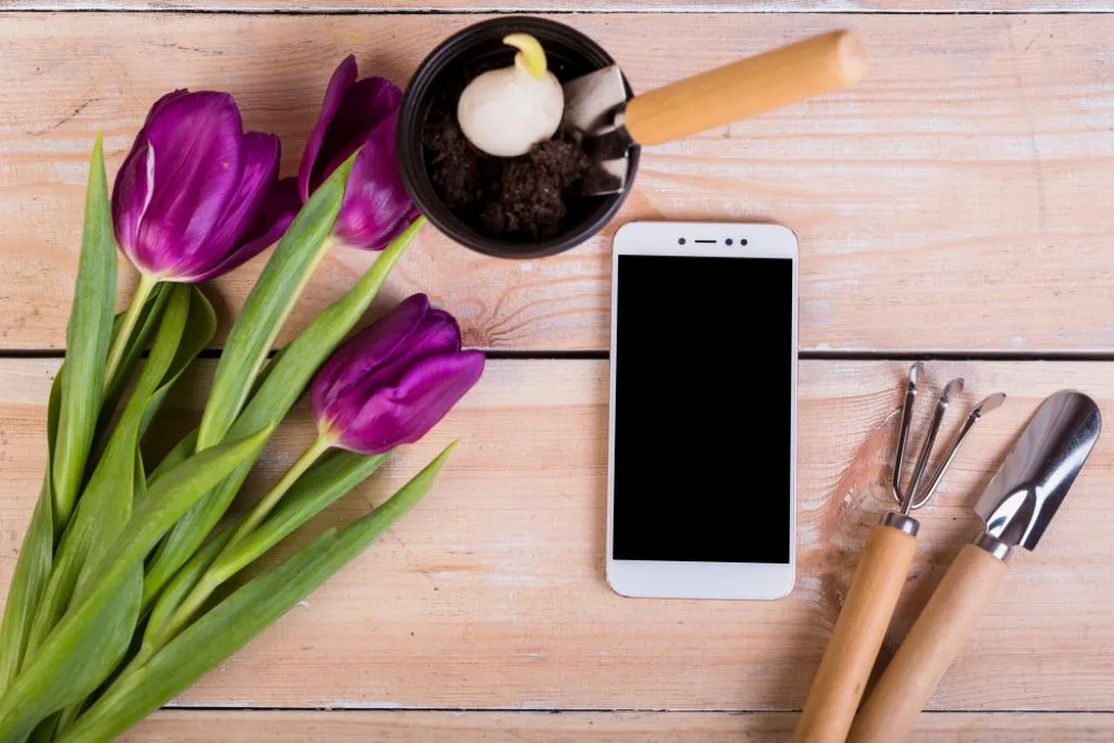 Samsung Galaxy S23 ekrano keitimas