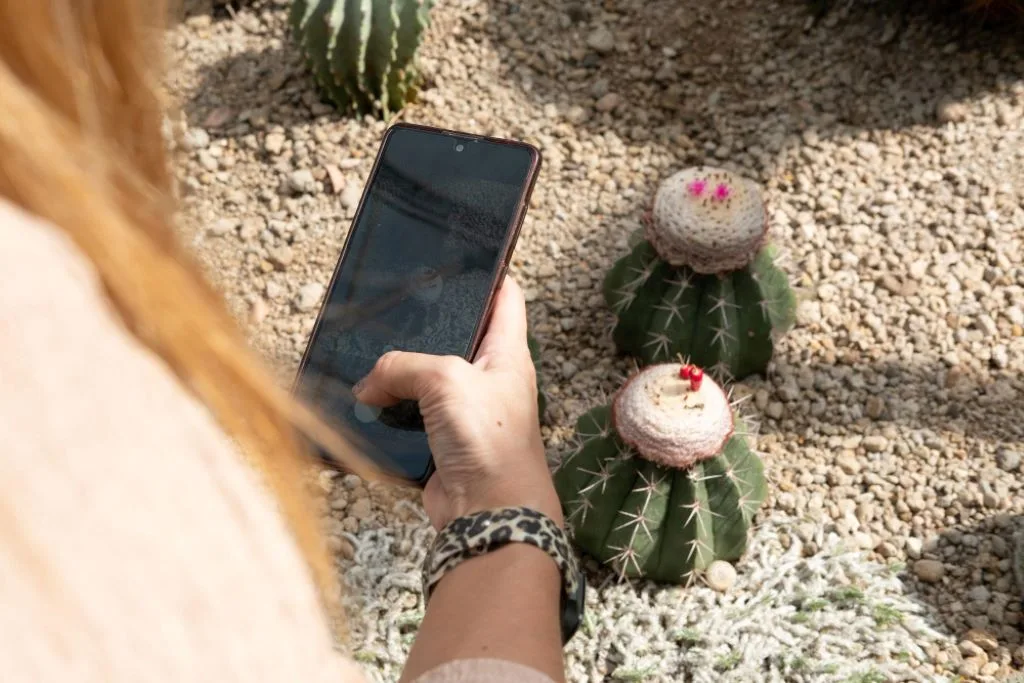 Samsung Galaxy S23+ ekrano keitimas