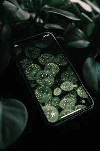Xiaomi 12S Ultra screen replacement