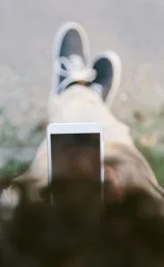 Xiaomi 14 Ultra ekrano įskilimas, sudužimas ar kitoks ekrano pažeidimas