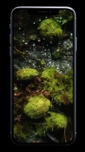 Xiaomi Redmi Note 12S screen replacement