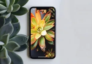 Xiaomi Redmi Note 13 screen replacement